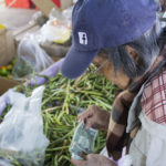 pickinggreenbeans