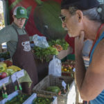 pickingveggies