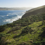 Tomales Bay copy