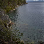 Overgrown Coastline copy