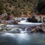 Rapids Shot Skates copy 2